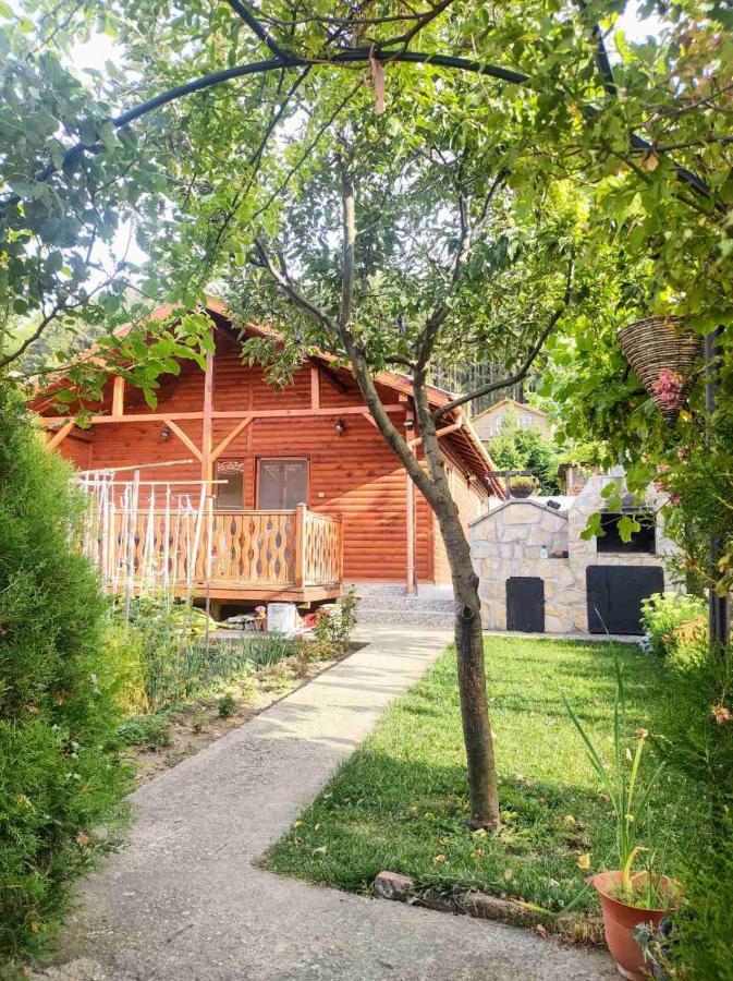 Holiday Home Veli Сапарева-Баня Экстерьер фото